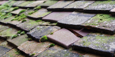 Flintham roof repair costs